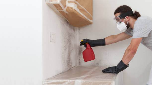 Professional Basement Mold Remediation technician working in Jonestown, PA
