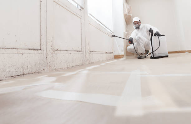 24/7 Emergency Basement Mold Remediation experts in Jonestown, PA